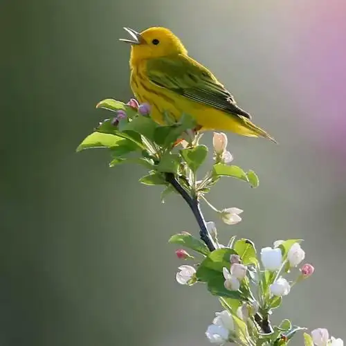简单而走心的图片头像 高清好看独一无二唯美的图片头像_微信头像