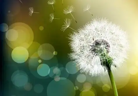 放下鸡零狗碎的过去,迎接充满希望的未来