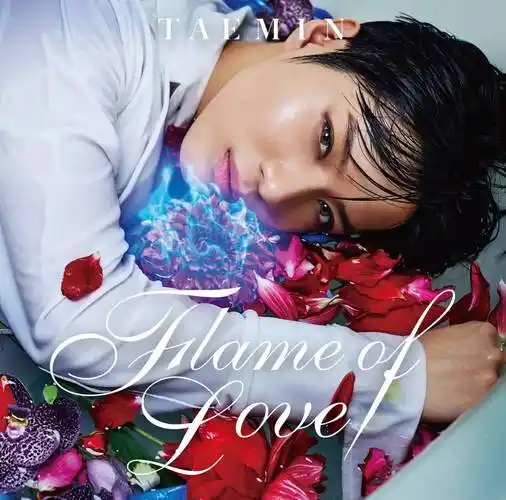 shinee 泰民日本第二张迷你专辑《flame of love》席卷oricon daily