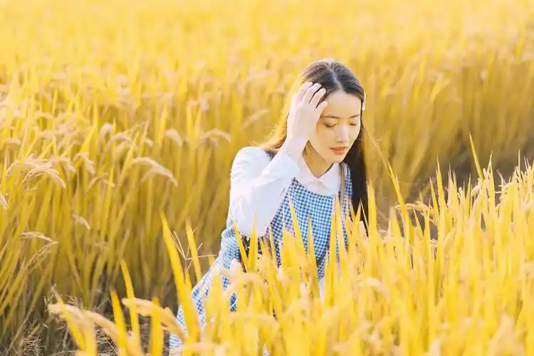 写给秋天的寄语