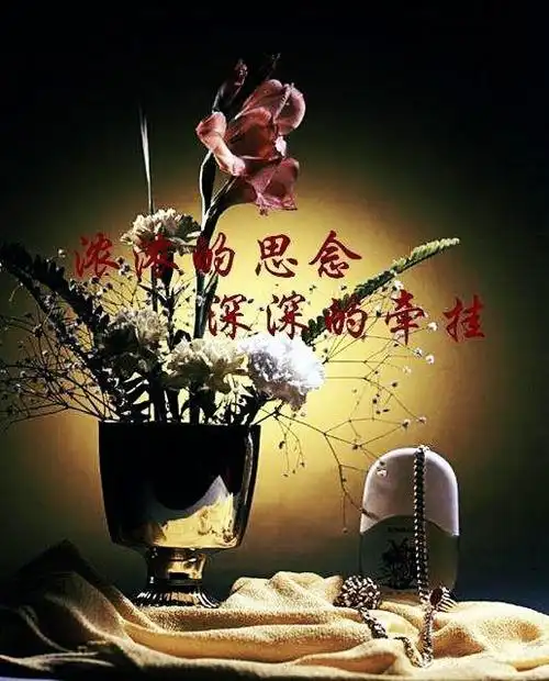 思念夜里来敲窗