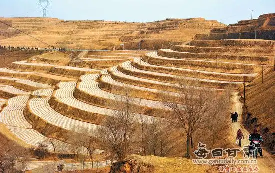 定西市安定区西巩驿镇在山地大面积铺设地膜(图)