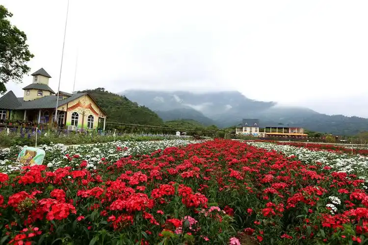 惠州那里花开主题公园门票/成人票/双人票/儿童票/亲子票1大1小 快速