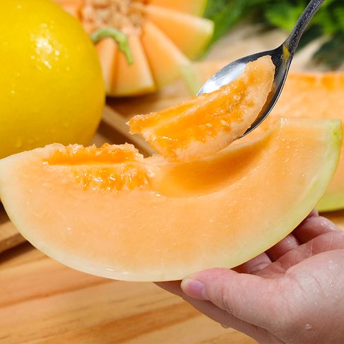 陕西黄河蜜瓜10斤水果新鲜当季整箱包邮哈密瓜黄金网纹瓜甜瓜香瓜