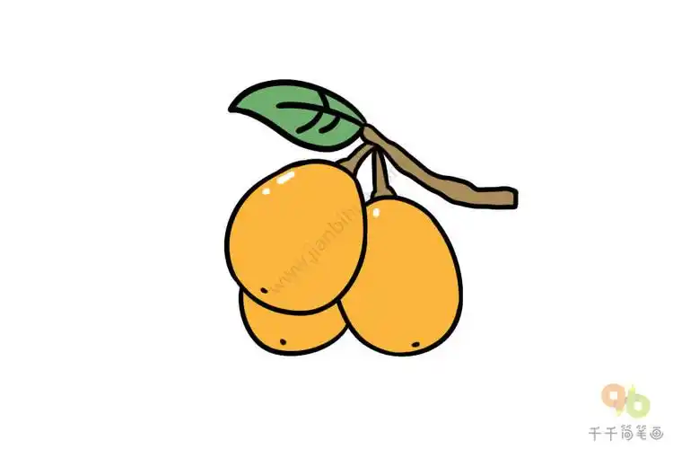 美味又营养的水果枇杷简笔画大全