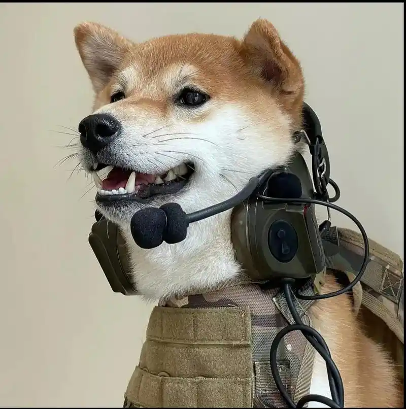 这才是大佬该用的头像