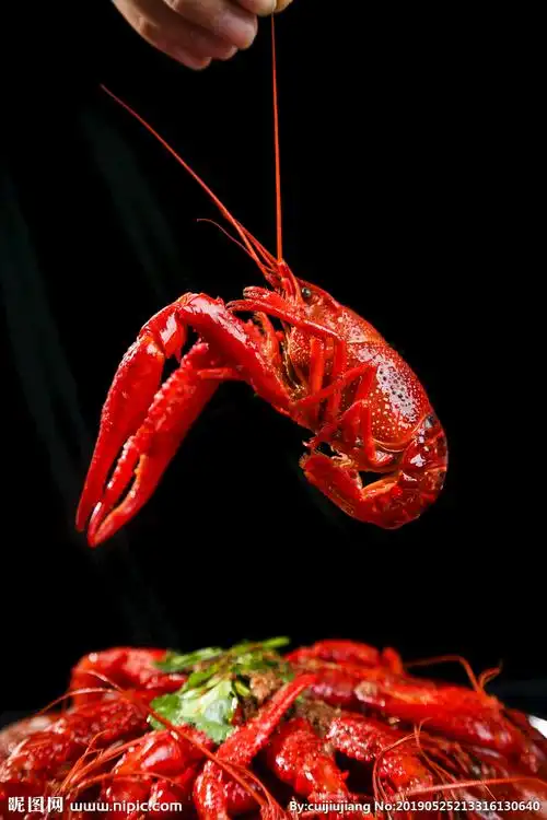 小龙虾摄影图__传统美食_餐饮美食_摄影图库_昵图网nipic.com