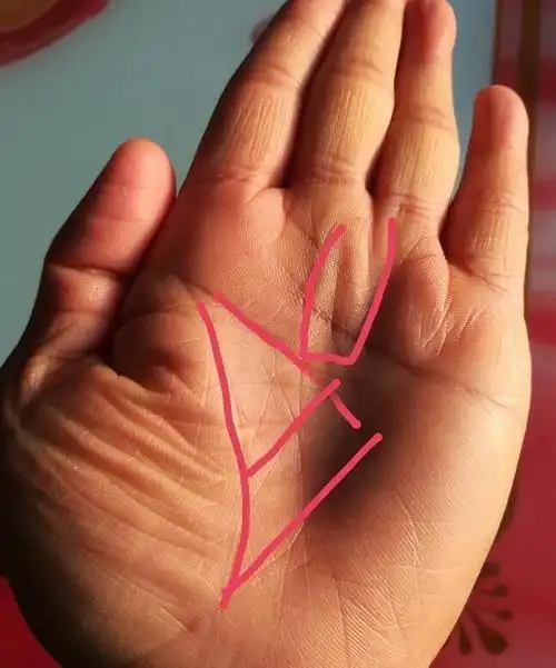 "注定是离婚命,要进两家门"的手相特征