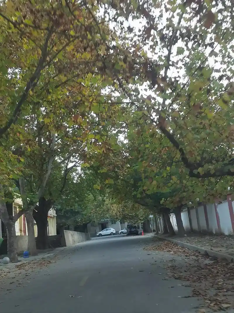 是升文明溪 寺河山苹果 灵宝市卫健委 天火器消 河学開微出黑 - 抖音