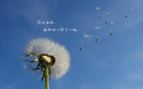 >                 让人心碎伤心的说说图片 相关标签 文字