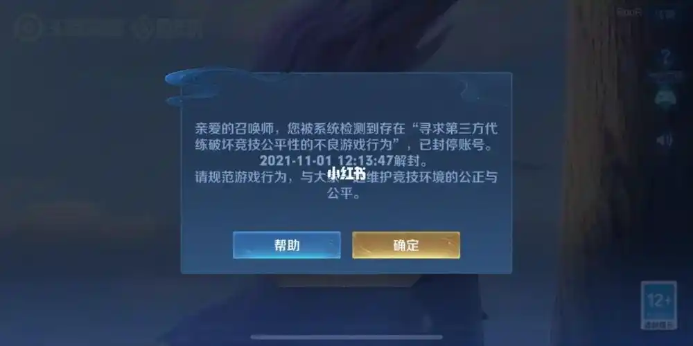 真的很莫名其妙,我的王者居然被封号了