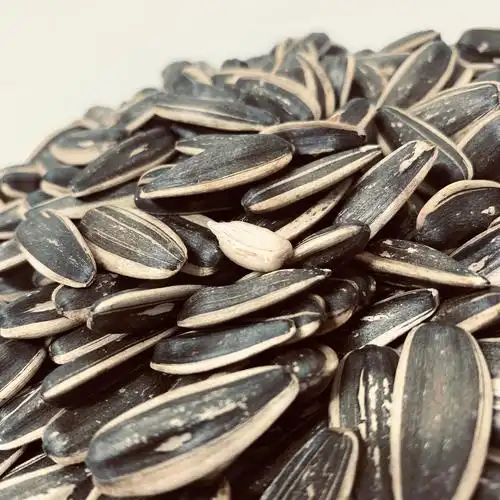 洽洽香瓜瓜子160g恰恰五香葵花籽全国多省包邮瓜子