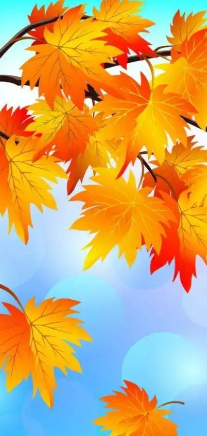 养眼全屏壁纸,治愈系列,天天好心情_手机搜狐网