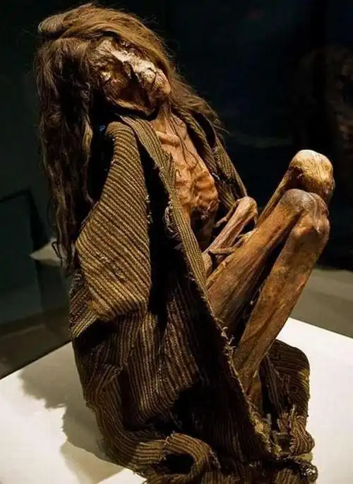 木乃伊是现实生活中有形的鬼-科教台-中国网络电视台