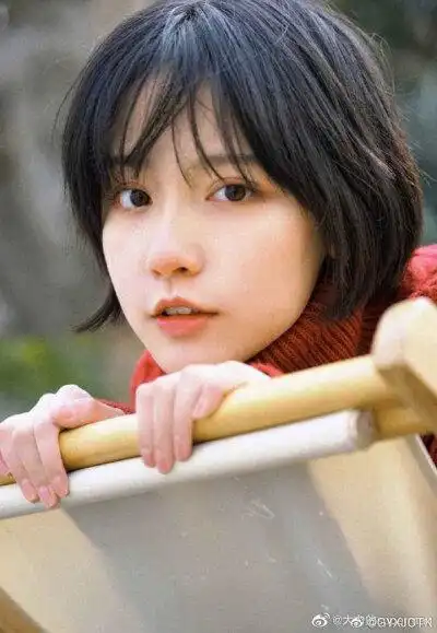 点赞  评论  诸葛大力 成果 犬来八荒 0 4 公子小白丶  发布到  狗