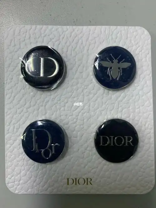 dior胸针