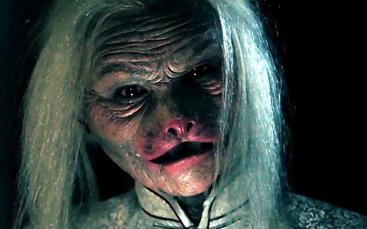 猫脸老太太图片