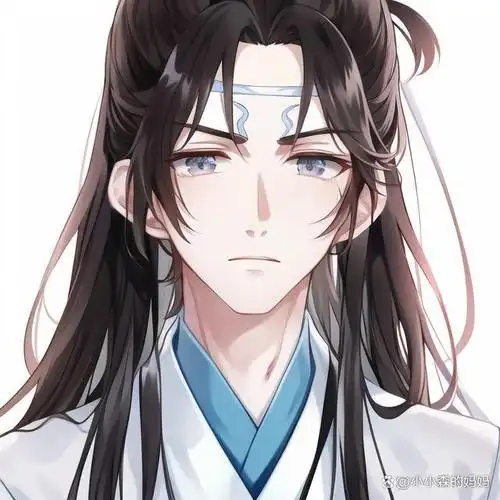 魔道祖师,魏无羡蓝忘机头像