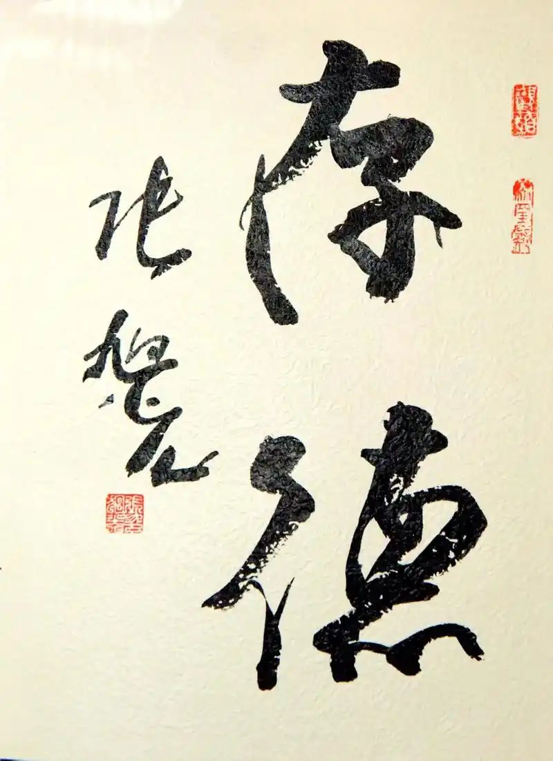当代书法大家张旭光扉页题字书法作品  扉页题字 画心尺寸:2 - 抖音