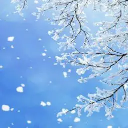 微信头像雪花图片大全微信头像大全高清雪景