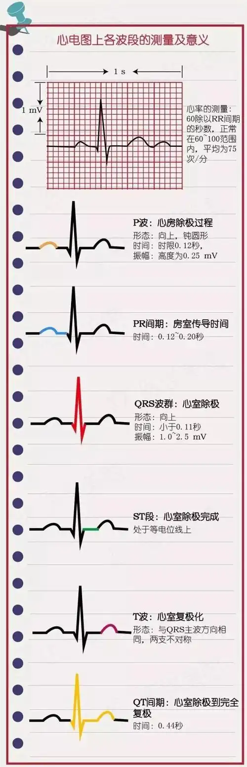 简易心电图教程(一):如何看正常心电图
