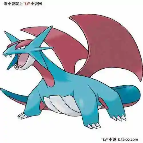 宠物小精灵夜一:暴飞龙图文