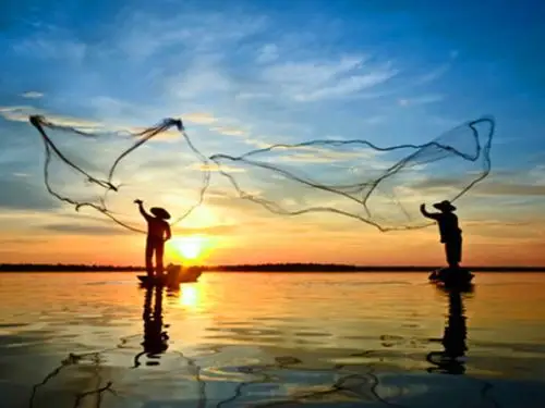 撒网捕鱼咯