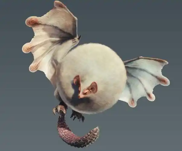 《怪物猎人:世界》14种全新怪物介绍