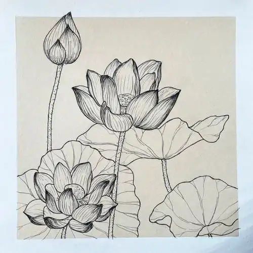 植物线描莲花荷花廉洁主题