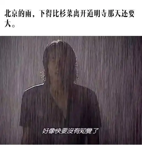这个夏天遇见的大雨比冒雨要生活费的依萍还会加戏