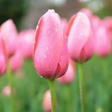 能走好运的微信头像(精选20张) - 爱说说