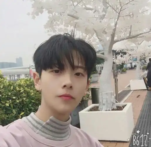 2017年7月30日 8:28   关注  评论 收藏