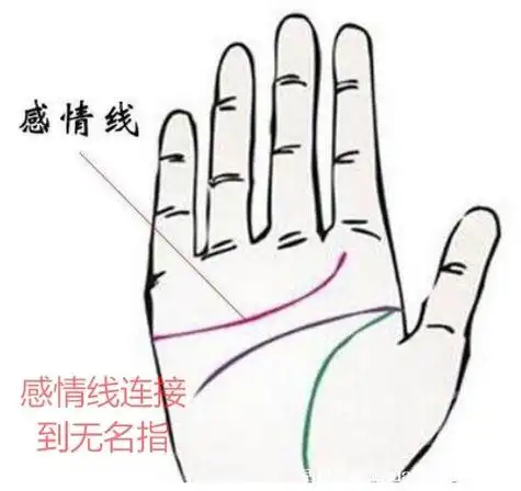 感情线图解,手相感情线分叉是什么意思