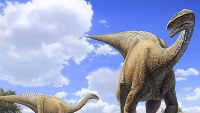 平板的爬行动物",是生存于2亿1000万年前,晚三叠纪的古老恐龙