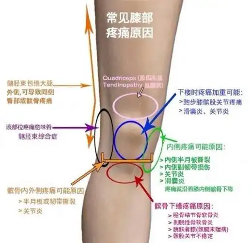 手术治疗范围:          一,膝部急性损伤(半月板损伤,前交叉韧带损伤