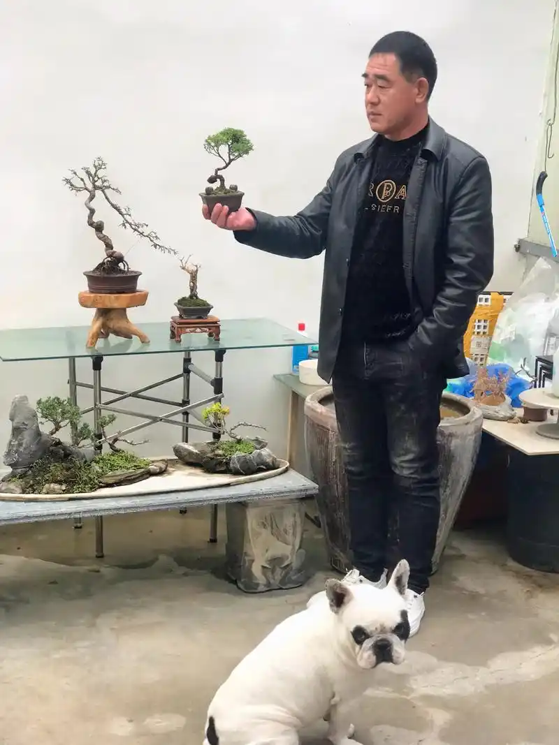 22请您欣赏 ,小品微型盆景#22爱生活爱养花 #赏花94听歌 - 抖