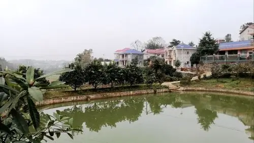 常德桃源漆河镇:增添"三牛"精神 减少"假牛"形式 - 大美乡镇 - 新湖南