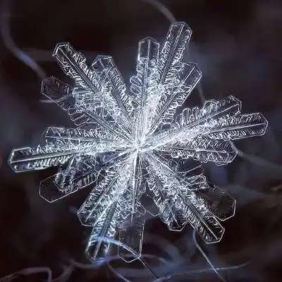 摄影师 alexey kljatov/是雪_微信头像_我要个性网