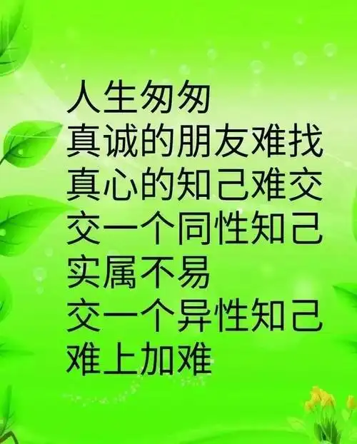 人生匆匆,真诚的朋友难找,真心的知己难交_网易订阅