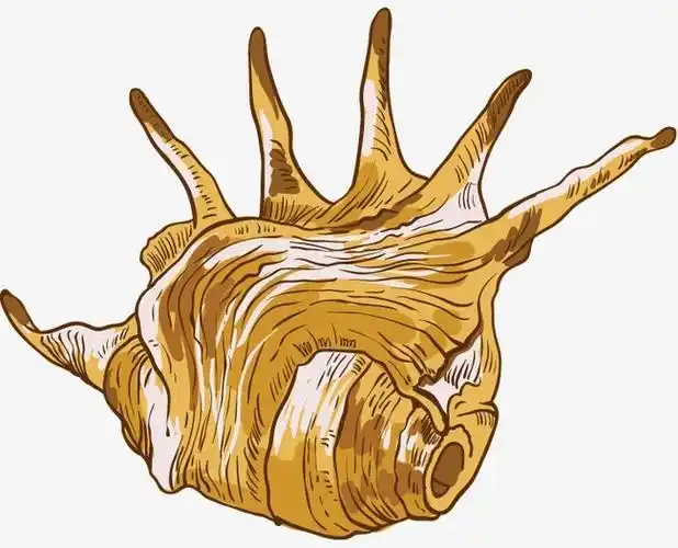 搜图中国提供优质高清原创设计素材免费下载贝壳海螺主要针对元素所