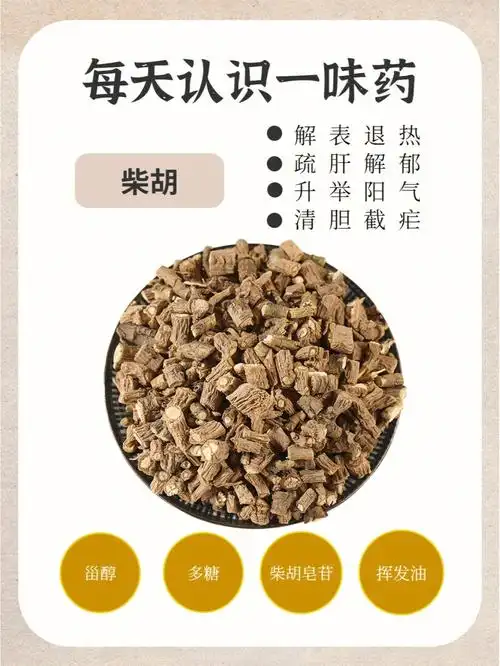 北柴胡的功效与作用(北柴胡是热性还是凉性)