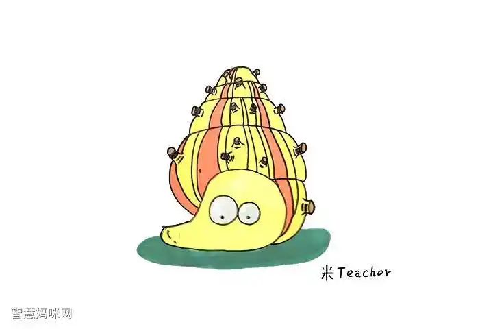 小海螺简笔画画法步骤