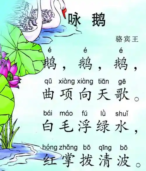 鹅鹅鹅古诗图片简画_鹅鹅鹅骆宾王的古诗图画 - 早旭经验网