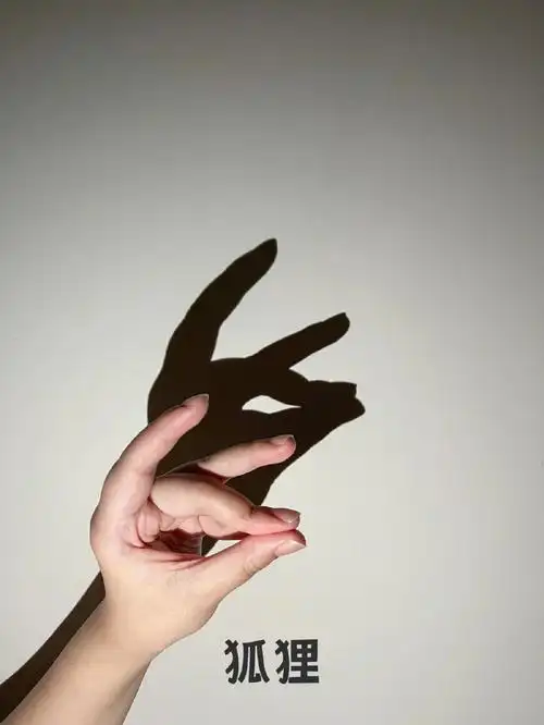 适合睡前陪孩子一起玩的睡前小游戏儿童手影游戏