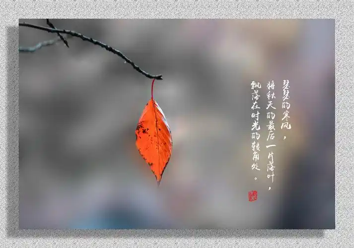 最后一片落叶(画意)