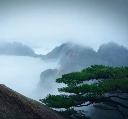 大气磅礴～黄山