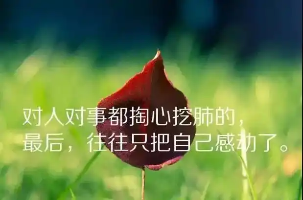 人生哲理精简短句(人生哲理精简短句子)