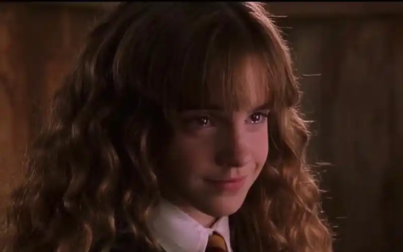 harry potter]赫敏·格兰杰的那些让你无法抵抗的笑容_哔哩哔哩