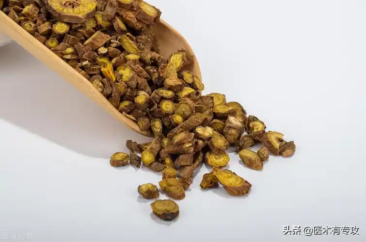 每天一味中药～黄芩