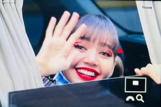 芭比和睦大花园#lisa丑得千奇百怪